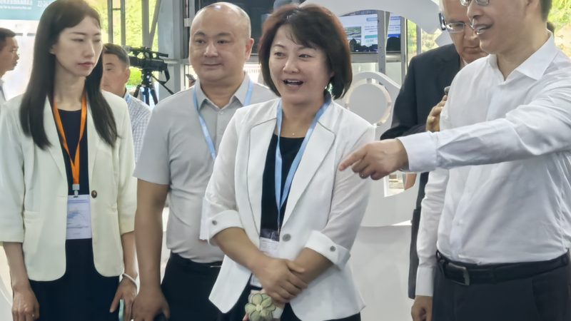 改装碳陶瓷刹车盘：性能提升背后的价格考量